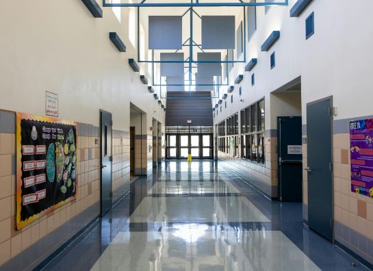 Edupolitan is a global school directory